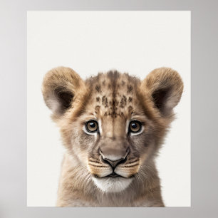 Baby Safari African Jungle Animals Lejonare Unge Poster