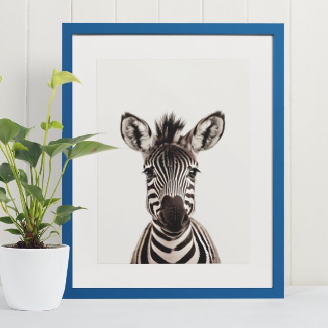 Baby Safari African Jungle Animals Zebra Poster (Skapare uppladdad)