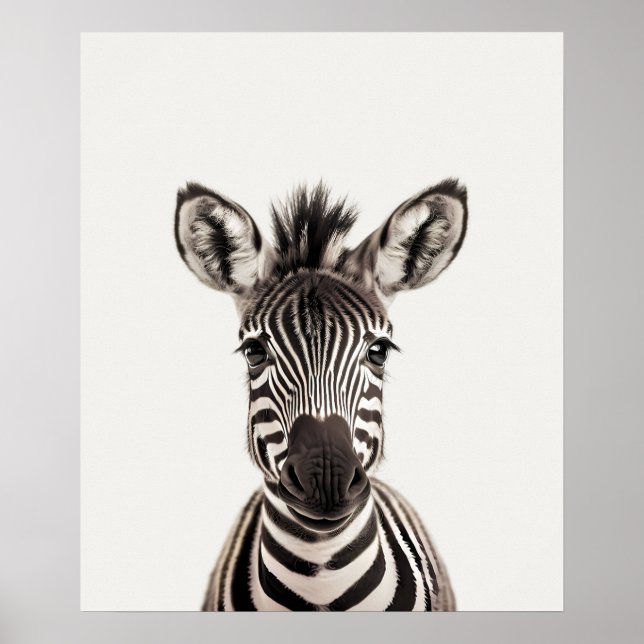 Baby Safari African Jungle Animals Zebra Poster (Framsidan)