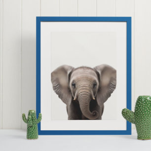 Baby Safari Afrikanska Djungeldjur Elefant Poster