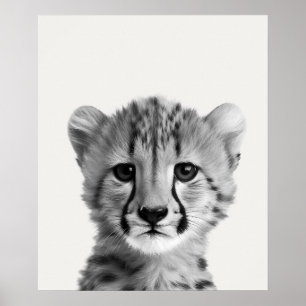 Baby Safari Afrikanska Djungeldjur Gepard Poster