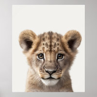 Baby Safari Afrikanska Djungeldjur Lejonunge