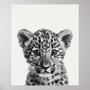 Baby Safari Afrikanska Djungeldjur Leopard Poster