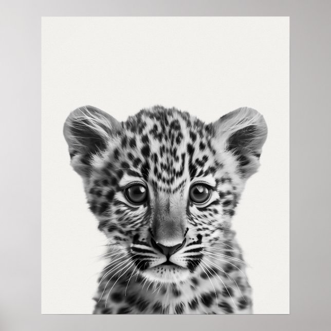 Baby Safari Afrikanska Djungeldjur Leopard Poster (Framsidan)