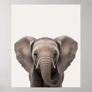 Baby Safari Afrikanska Djur i djungeln Elefant Poster