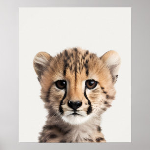 Baby Safari Afrikanska Djur I Djungeln Gepard Poster