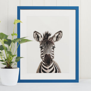Baby Safari Afrikanska Djur i Djungeln Zebra Poster