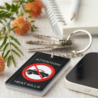 Baby säkerhetstips - akrylisk nyckelkedja för nya