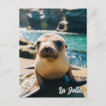 Baby Sea Lejon La Jolla California vycard