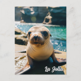 Baby Sea Lejon La Jolla California vycard Vykort