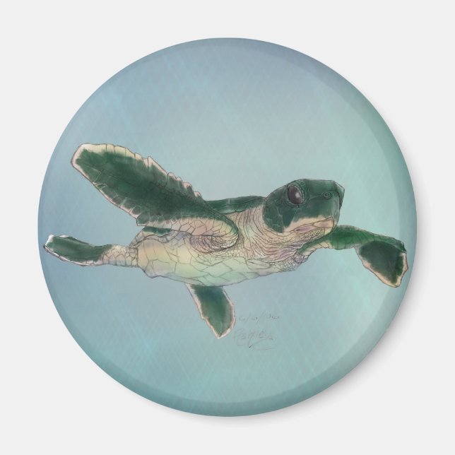 Baby Sea Turtle Magnet (Framsidan)