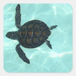Baby Sea Turtle Sticker Fyrkantigt Klistermärke