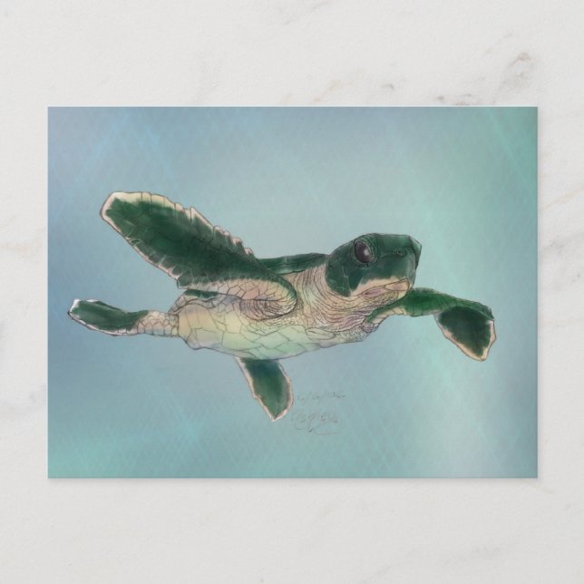 Baby Sea Turtle Vykort (Framsida)