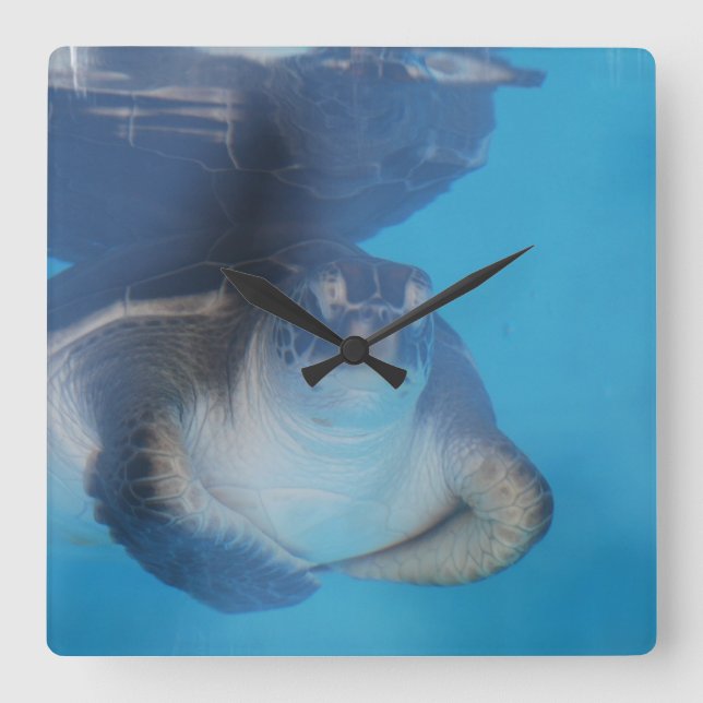 Baby Sea Turtle Wall Clock Fyrkantig Klocka (Framsida)