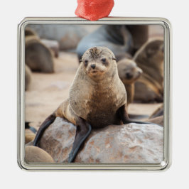 Baby Seal Julgransprydnad Metall