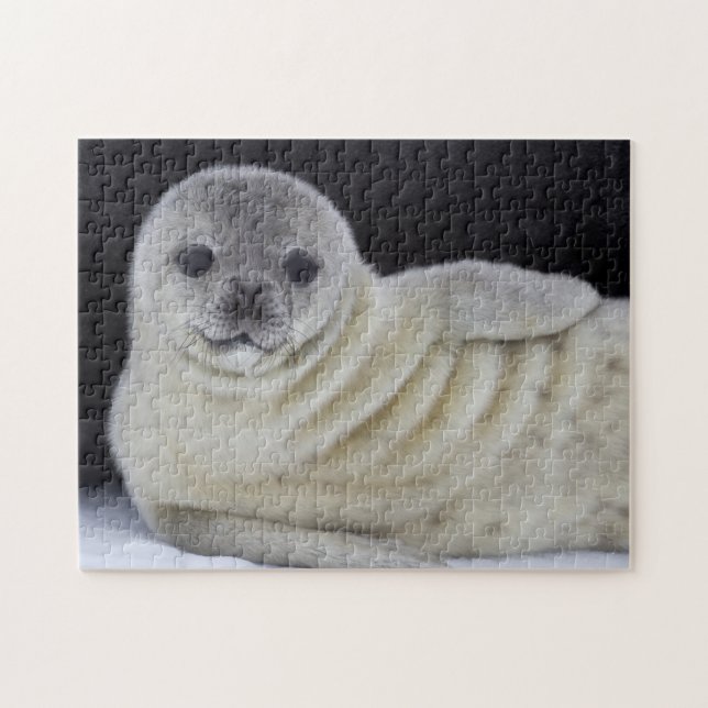 Baby Seal Smile Pussel (Horisontell)