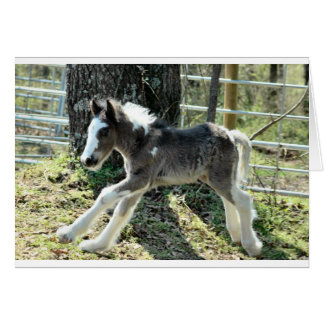 Baby Shaolin 2 Hälsningskort