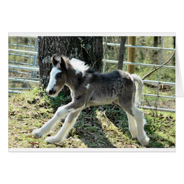 Baby Shaolin 2 Hälsningskort (Framsidan Horizontal)