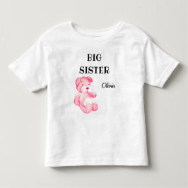 Baby Shower Attire Cute Big Sister 2T till 56T T Shirt