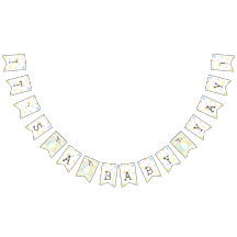 Baby Shower Beach Boll, Swallowtail Banner