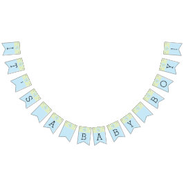 Baby Shower Blue/Dolphin, Swallowtail Banner Vimplar