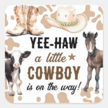 Baby Shower Lille Cowboy Rodeo