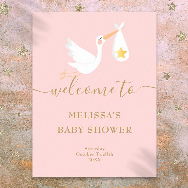 Baby Shower Specialleverans Stork Välkomstskylt Poster (Baby Shower Special Delivery Stork Welcome Sign)