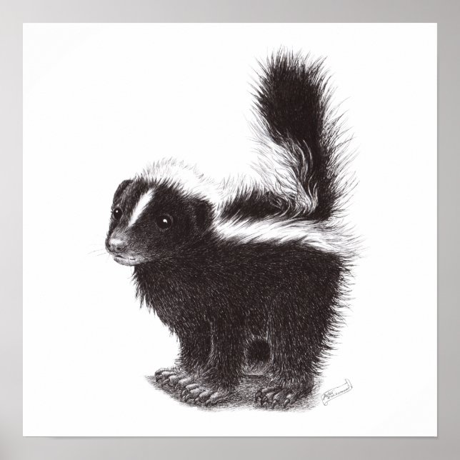 Baby Skunk Poster (Framsidan)