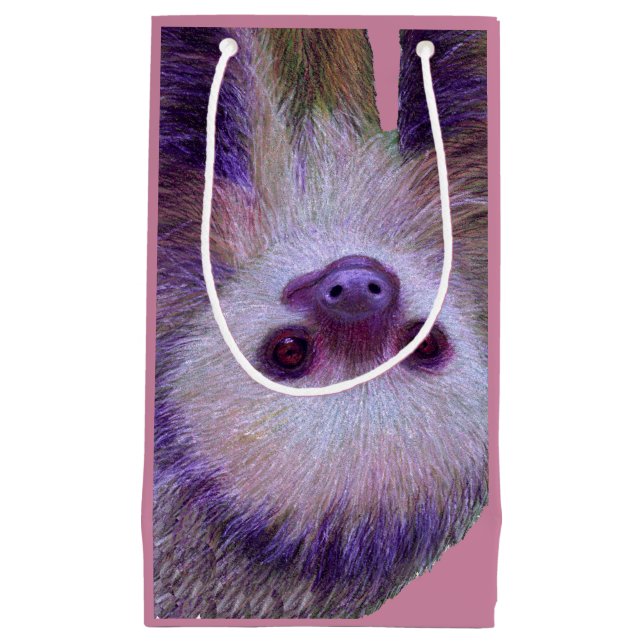 Baby Sloth (Framsidan)