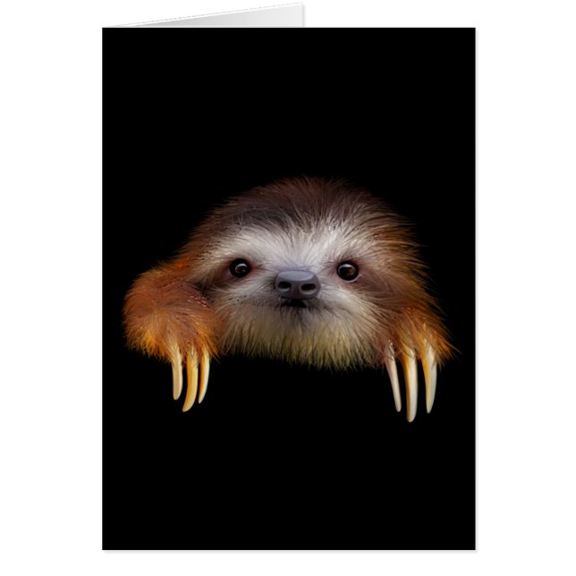 Baby Sloth Hälsningskort (Framsidan)