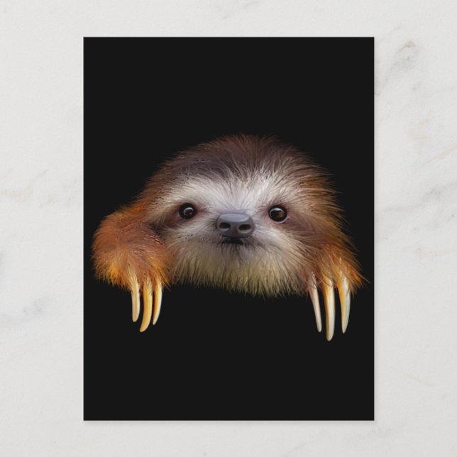 Baby Sloth Vykort (Framsida)
