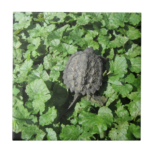 Baby Snapping Turtle Tile Kakelplatta (Framsidan)