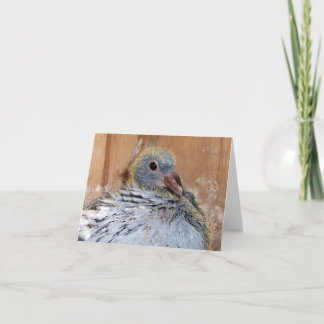 Baby som returnerar duvan Notecard Kort