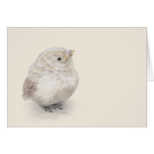 Baby Sparrow Digital Watercolor Hälsningskort