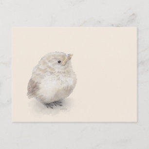 Baby Sparrow Digital Watercolor Vykort