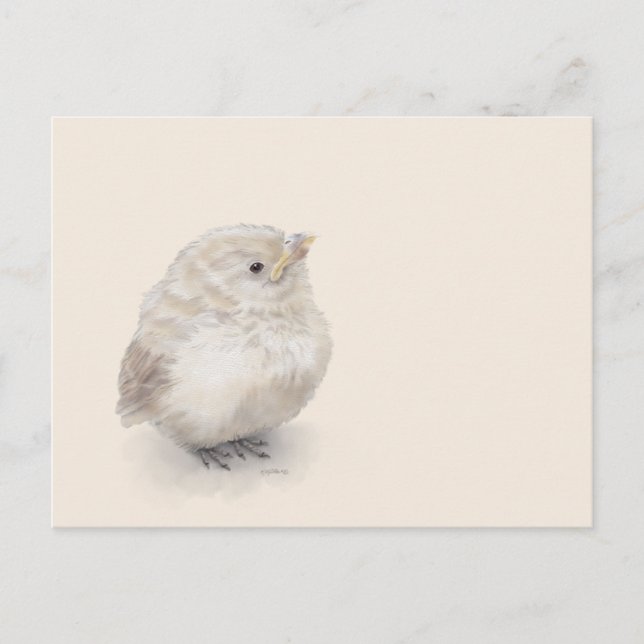 Baby Sparrow Digital Watercolor Vykort (Framsida)