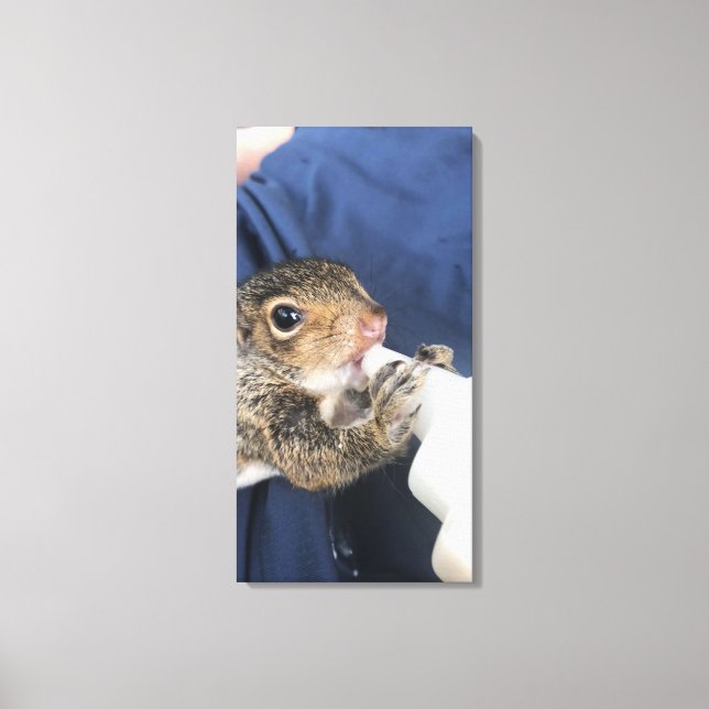 Baby Squirrel Canvastryck (Framsida)