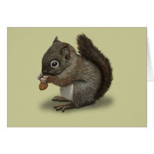Baby Squirrel Hälsningskort