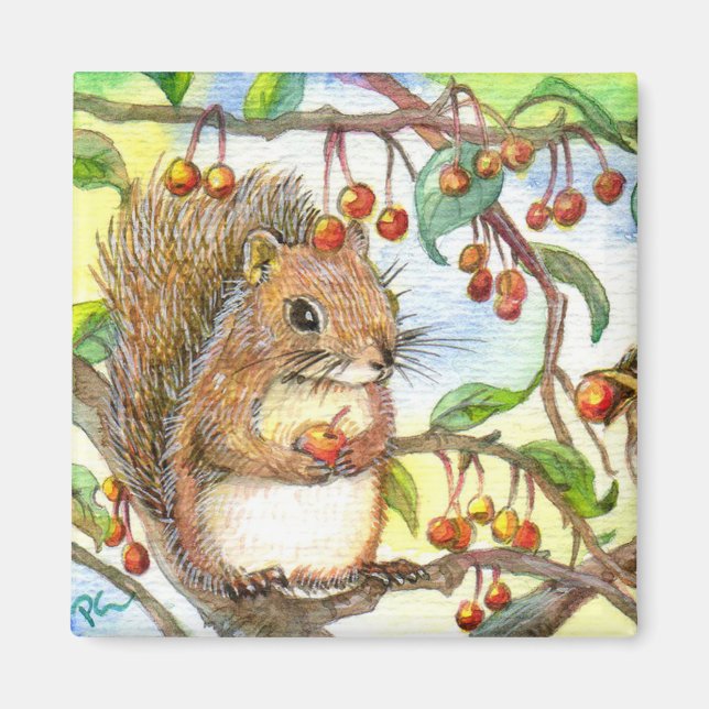 Baby Squirrel Magnet (Framsidan)