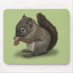 Baby Squirrel Musmatta
