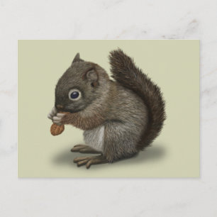 Baby Squirrel Vykort
