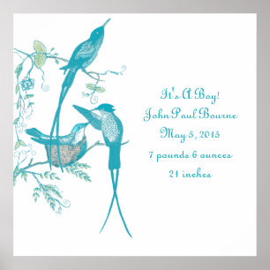 Baby Stats, det är en pojke! Nyfödd bebis meddelan Poster