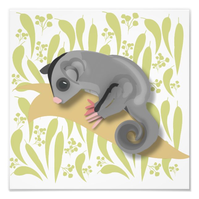 Baby Sugar Glider Fototryck (Framsidan)