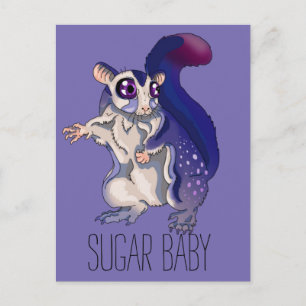 Baby Sugar Glider Vykort