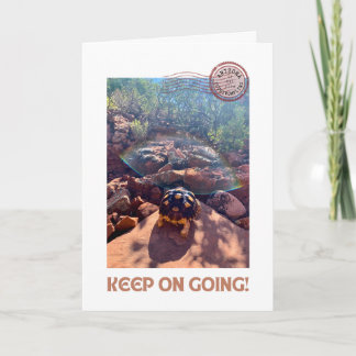 Baby Sulcata Tortoise Behålla om inspiration Kort