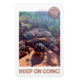 Baby Sulcata Tortoise Behålla om inspiration Magnet