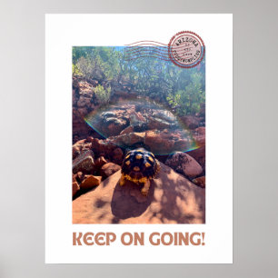 Baby Sulcata Tortoise Behålla om inspiration Poster