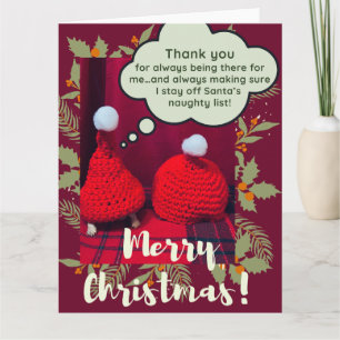 Baby Sulcata Tortoise Best Friends Funny jul Kort