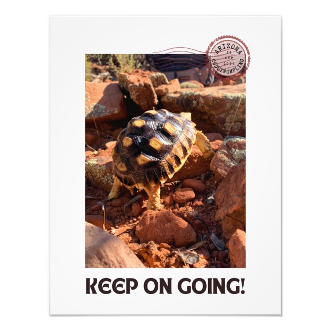 Baby Sulcata-vandring i Sedona Red Sten Arizona Fototryck (Framsidan)