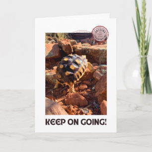 Baby Sulcata-vandring i Sedona Red Sten Arizona Kort